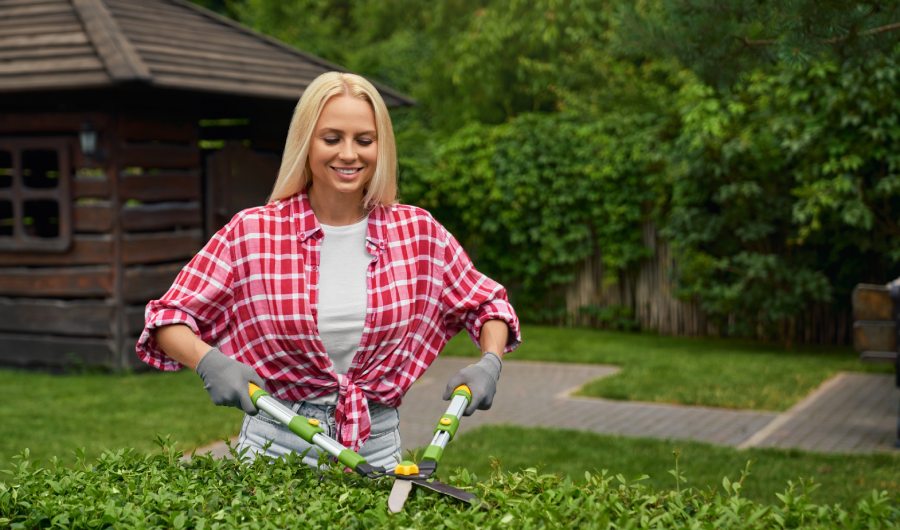 Adorable young woman with blond hair using branch scissors tool for shaping overgrown bushes in garden. 