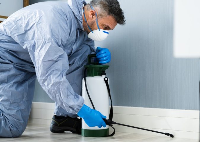 10 Proactive Pest Control Tips For Edinburg