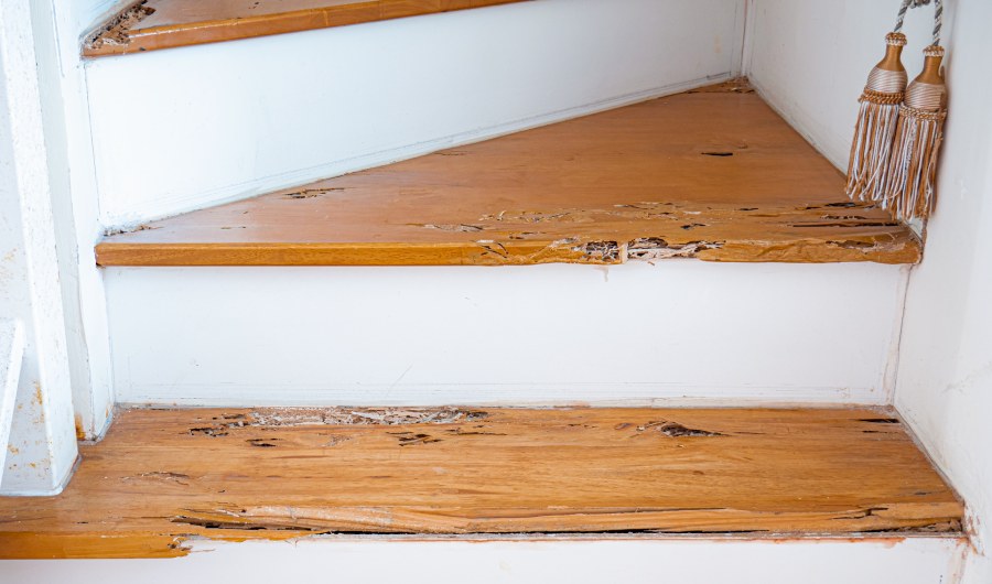 House stairs that were bitten by termites. 