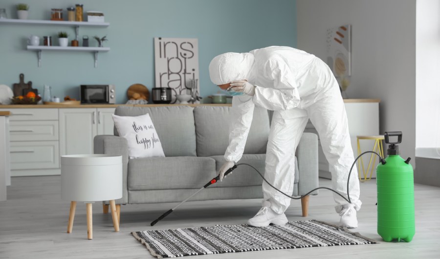 Worker in biohazard suit disinfecting house