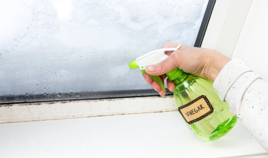 Woman hand spraying window