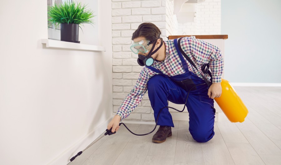 Pest control worker spraying poisonous liquid.