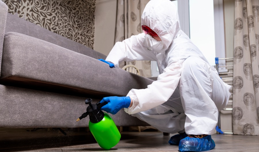 An exterminator in work clothes sprays pesticides with a spray gun. 