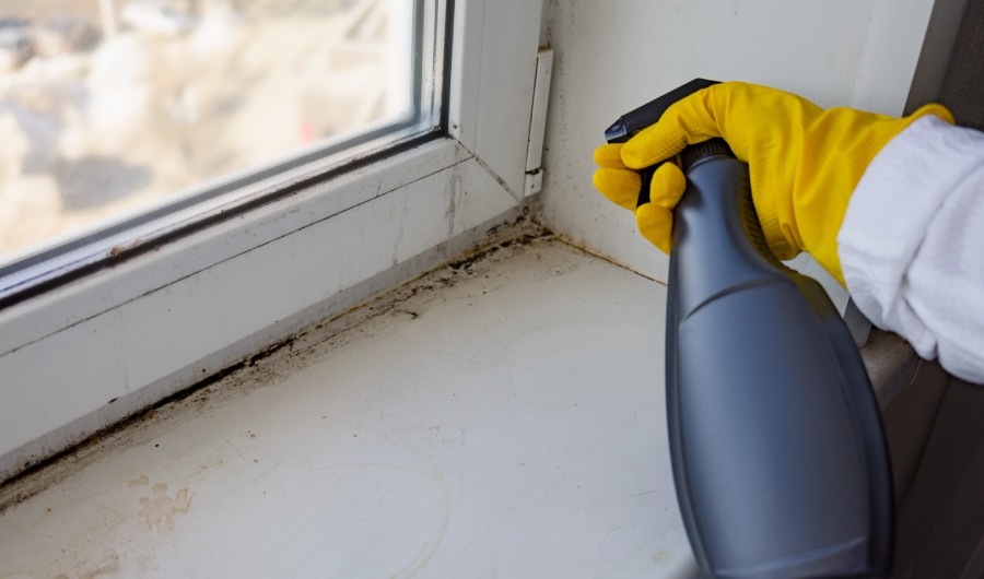 Woman hand spraying white vinegar solution